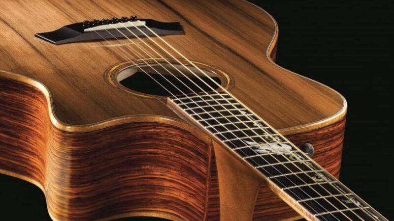 CITES: es oficial el fin de prohibición del Rosewood en instrumentos musicales