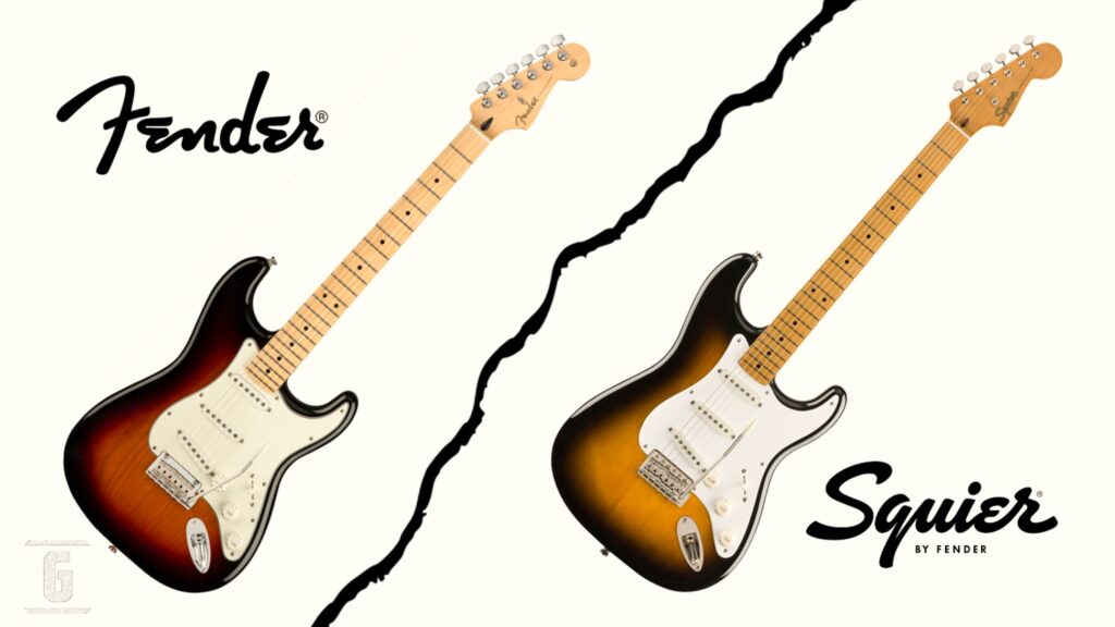 Fender vs Squier Stratocaster: différences et caractéristiques