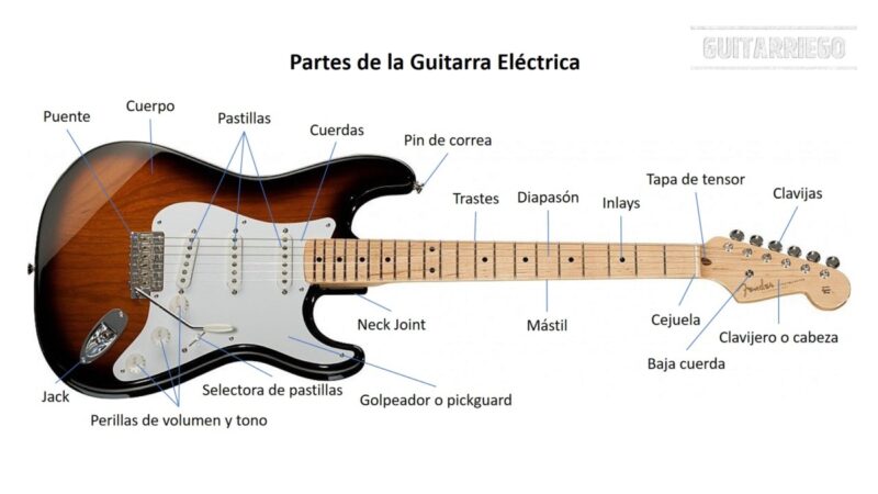 Partes de la guitarra elÃ©ctrica e importancia de cada una