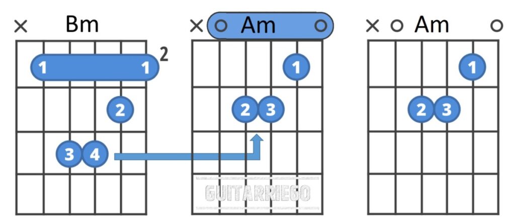 Estructura del acorde de cejilla de Si menor -Bm- y su similitud con el acorde de La menor -Am-.