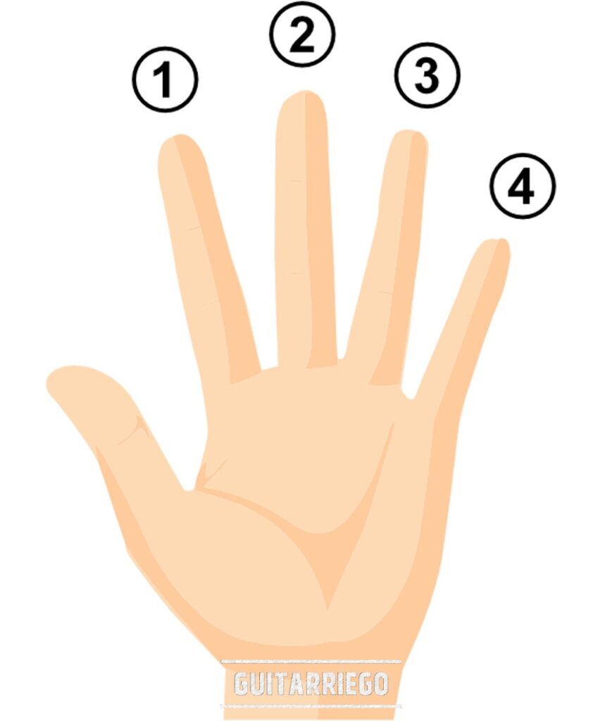 Accordi di ukulele, guida completa per principianti